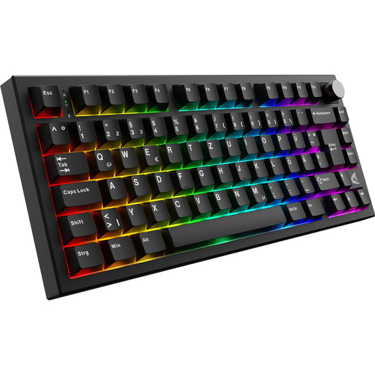 Sharkoon Skiller SGK55W Kabellose Gaming-Tastatur