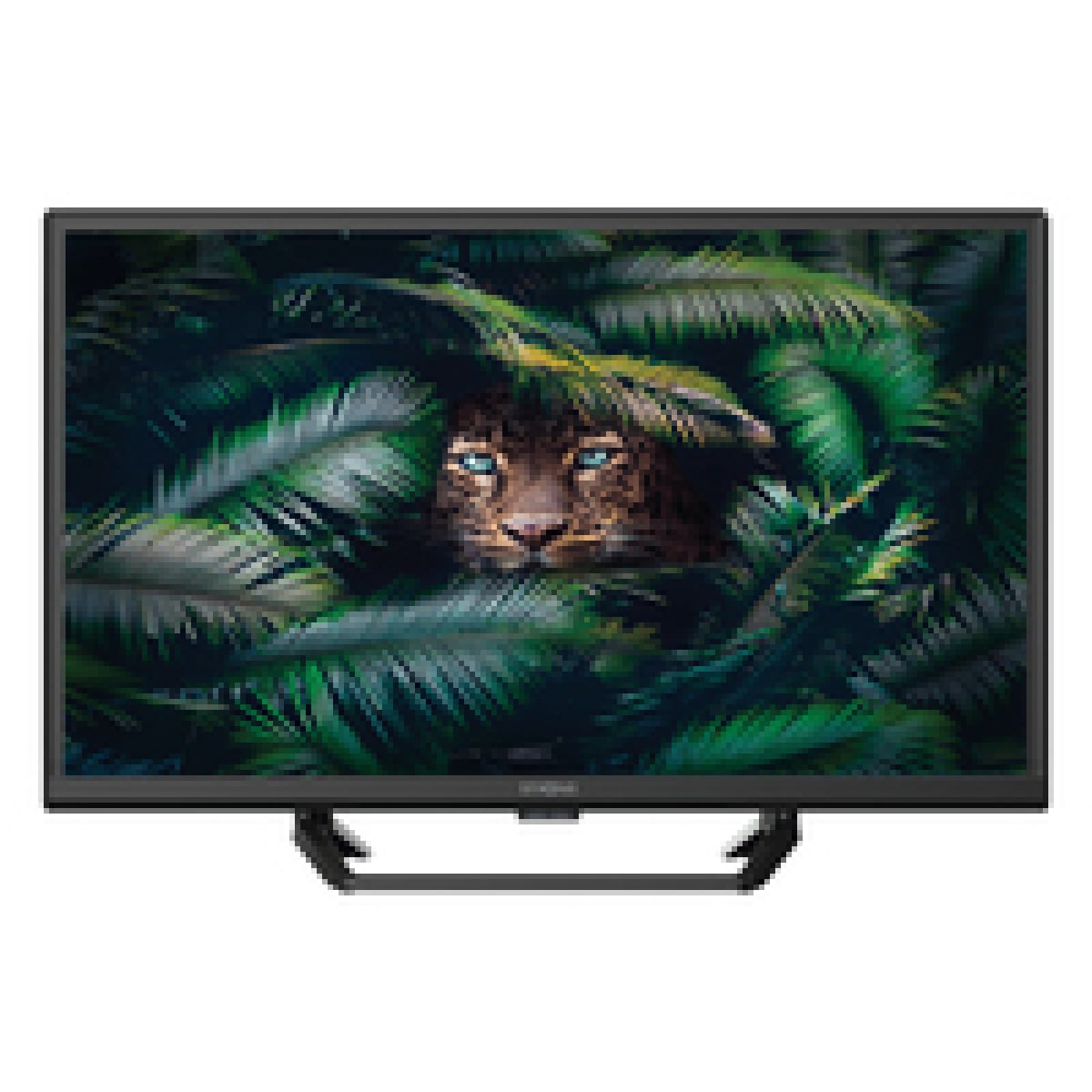Strong SRT 24HE4023C 61 cm (24 Zoll) LED-TV schwarz