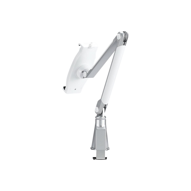 Neomounts by NewStar Anti-Theft Tablet Desk Stand (TABLET-D100SILVER)