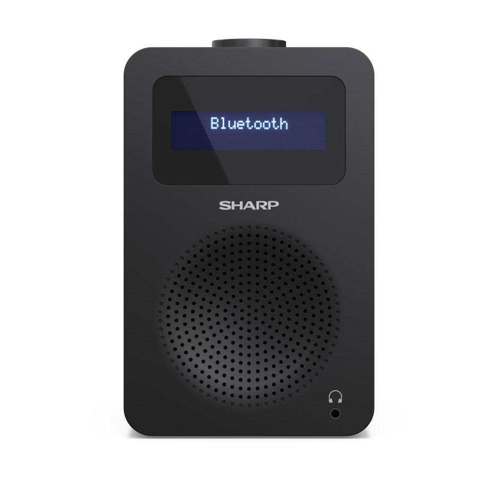 Sharp DR-430 Digitalradio schwarz