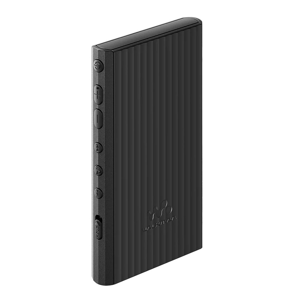 Sony Walkman NW-A306 32GB MP3 Player schwarz