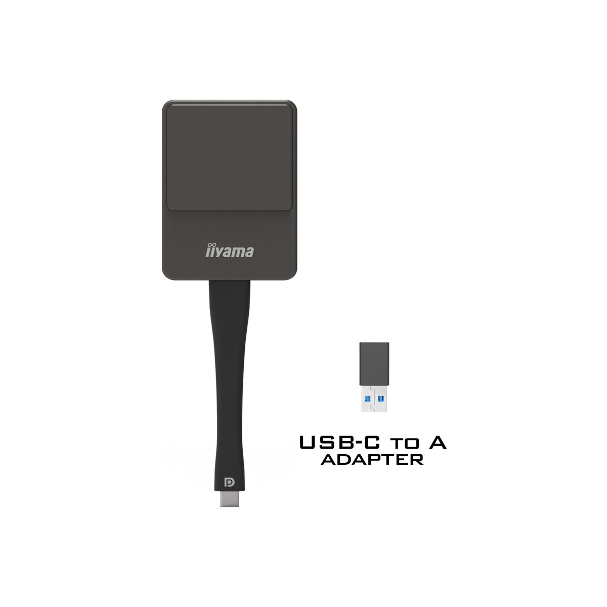 Iiyama WP D002C USB-C Präsentations-Dongle