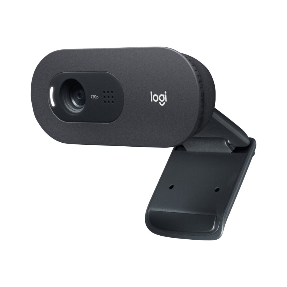 Logitech C505e Business-Webcam für Videogespräch-Apps