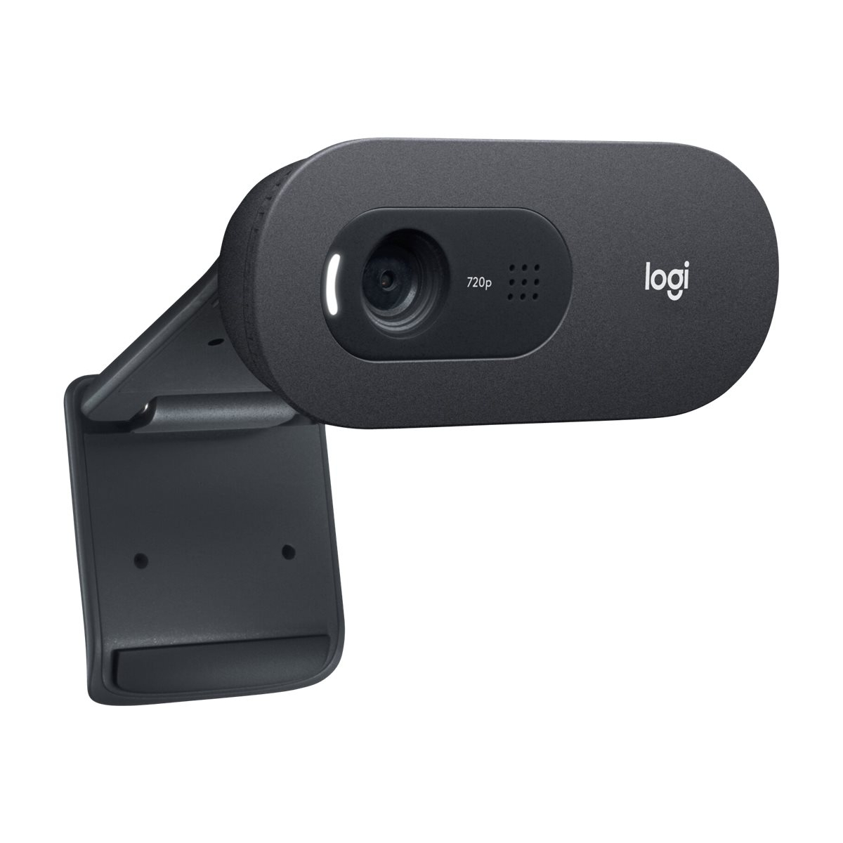 Logitech C505 HD Webcam schwarz