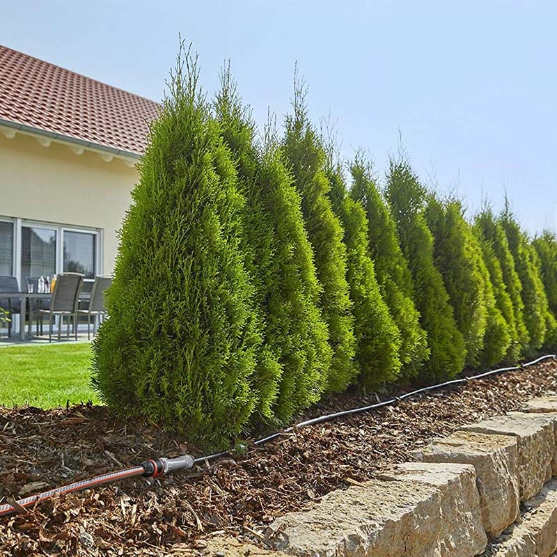 GARDENA 13012-20 Micro-Drip-System Start-Set Pflanzreihen M automatic