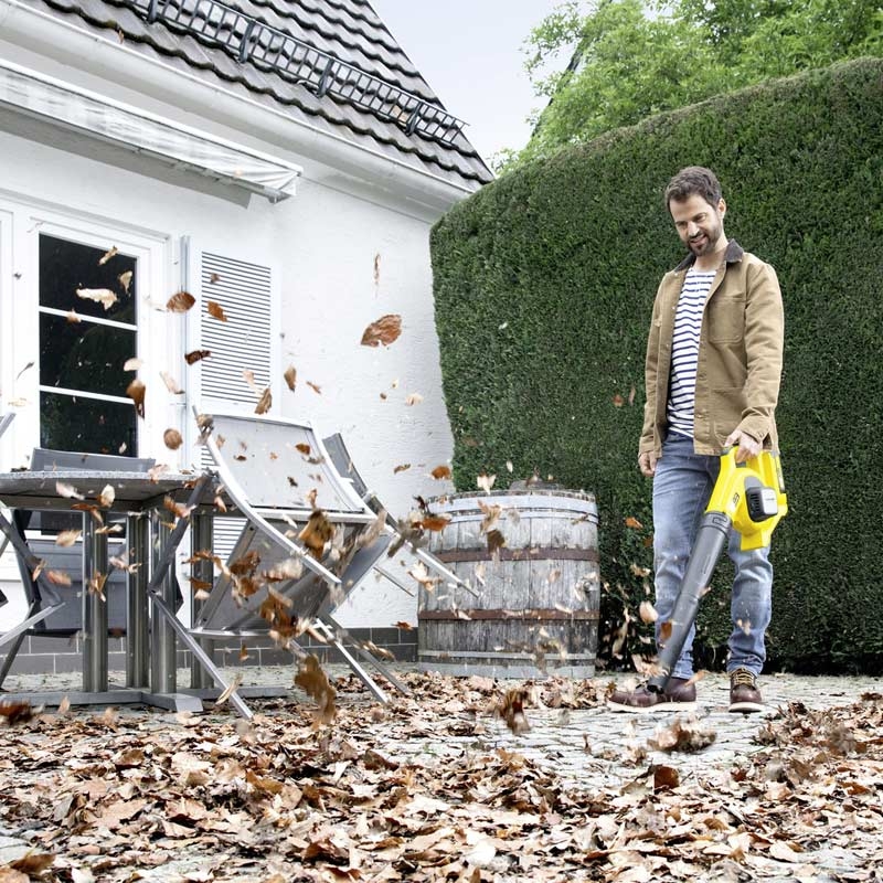 Kärcher LBL 2 Battery Set Laubbläser