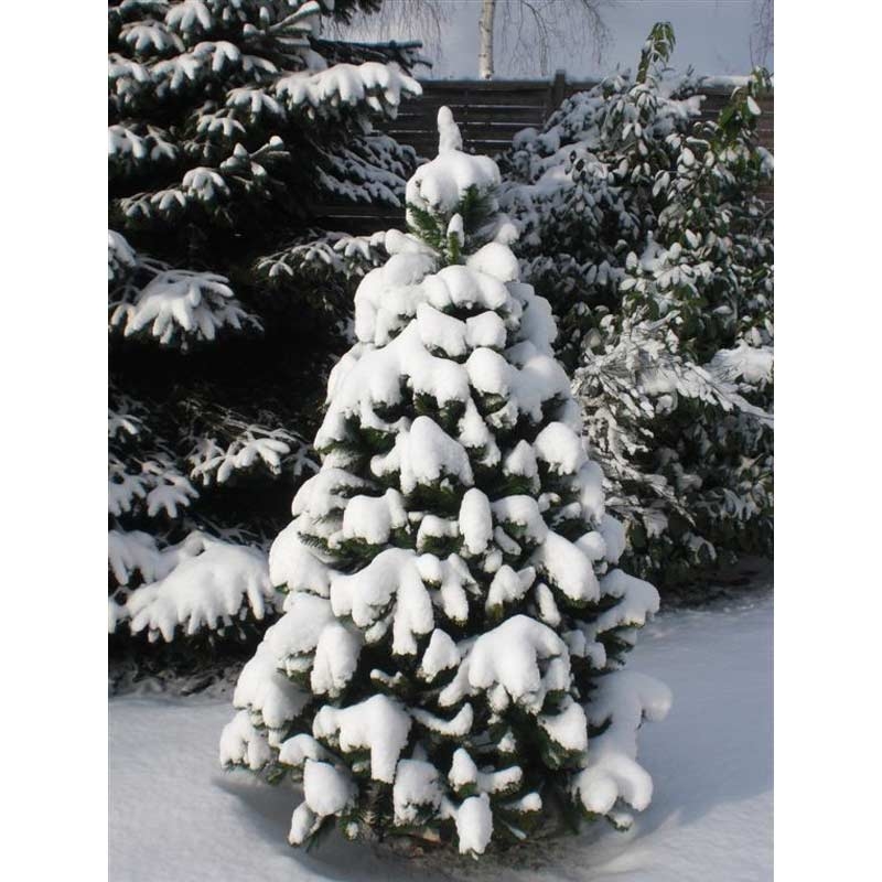 RS Trade HXT 1101 150cm künstlicher PVC Weihnachtsbaum