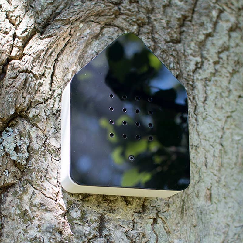 Zwitscherbox Klassik schwarz