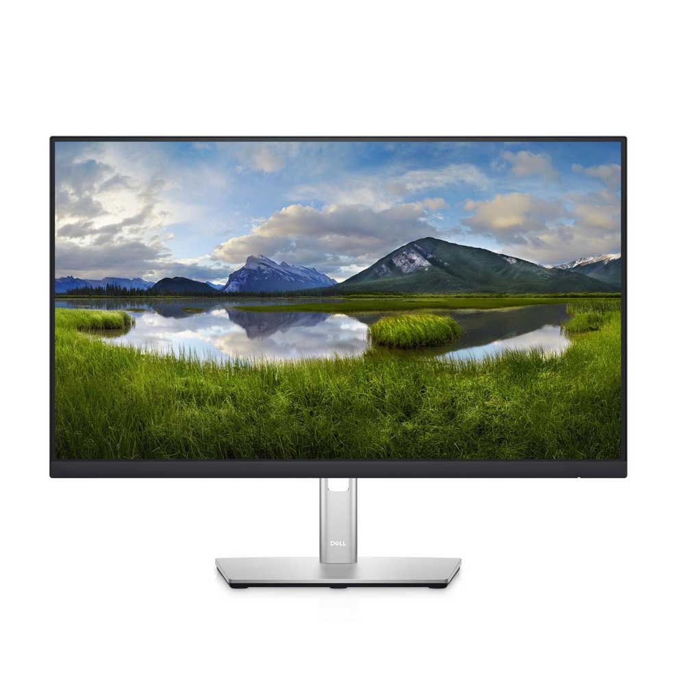 Dell P2422HE 60.47 cm (23.8 Zoll) LED-Monitor