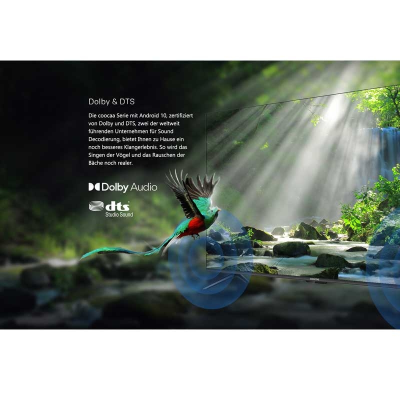 Coocaa 55S6G 139cm (55 Zoll) 4K-LED-TV