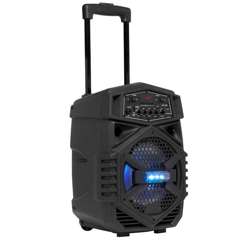 Denver TSP-110 Trolley-Lautsprecheranlage schwarz